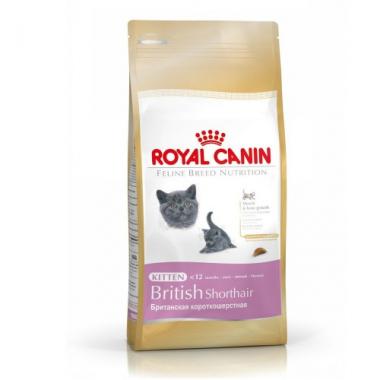 Royal Canin 2 KG Yavru British Shorthair Kedi Maması 