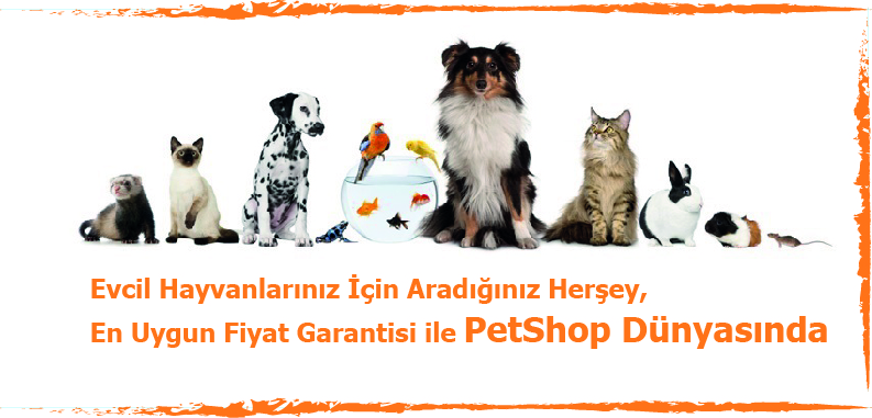 PetShop Dünyası