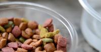 Chunky - 12'li Koli - Bir Porsiyon İyilik