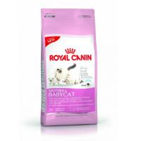 ROYAL CANIN BABYCAT 4 KG KURU MAMA
