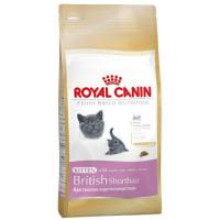 ROYAL CANIN BRITISH SHORTHAIR KITTEN  2 KG KURU KEDİ MAMASI