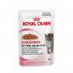 ROYAL CANIN KITTEN INSTINCTIVE IN JELLY 85 GR KEDİ YAŞ MAMASI