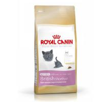 Royal Canin 2 KG Yavru British Shorthair Kedi Maması 