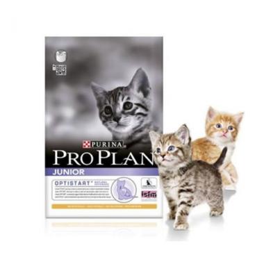 Pro Plan 10 Kg Kitten Yavru Kedi Maması 