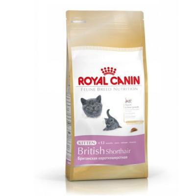 Royal Canin 2 KG Yavru British Shorthair Kedi Maması 